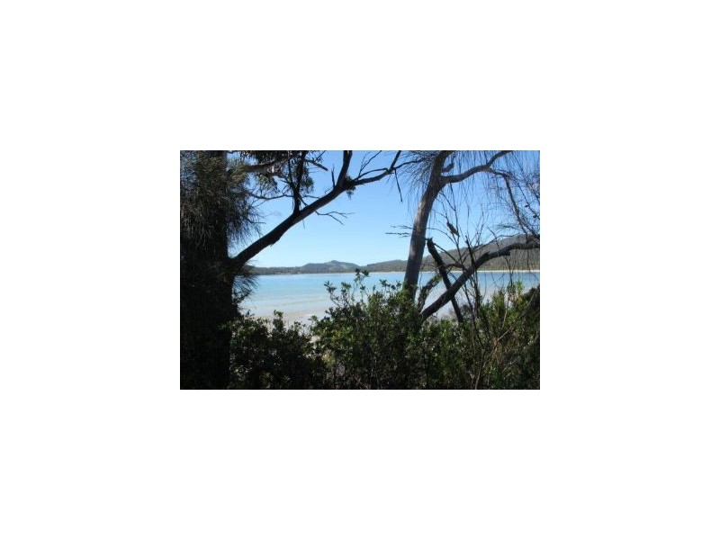 White Beach TAS 7184