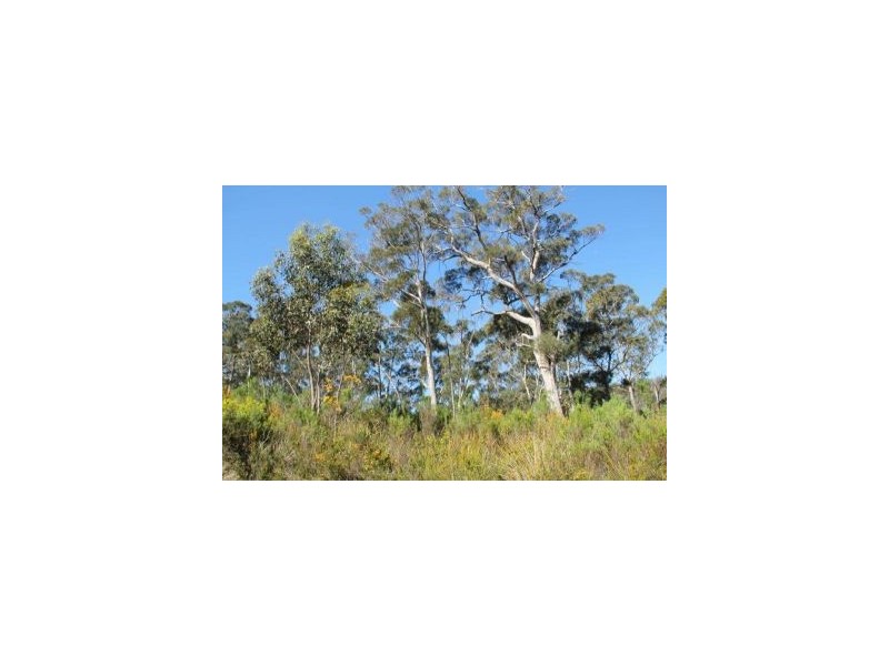 Lot 3 Smith Street, Nubeena TAS 7184