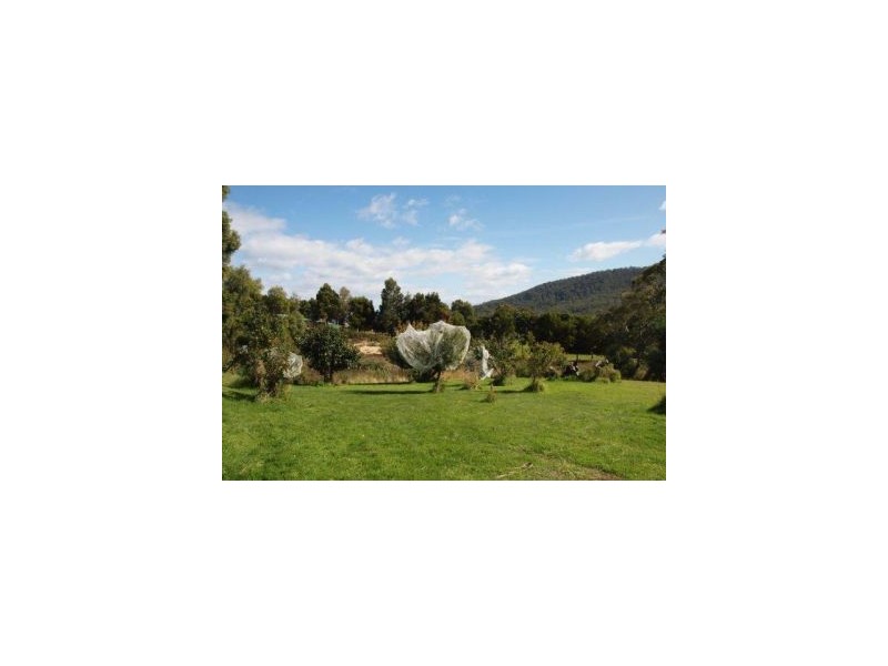 32a Ferntree Road, Eaglehawk Neck TAS 7179