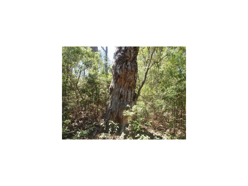 Eaglehawk Neck TAS 7179