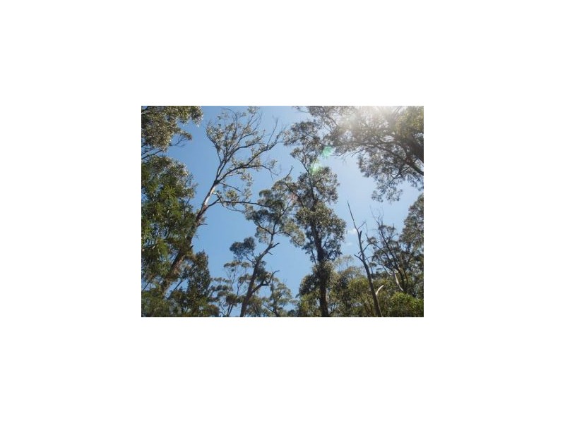 Eaglehawk Neck TAS 7179