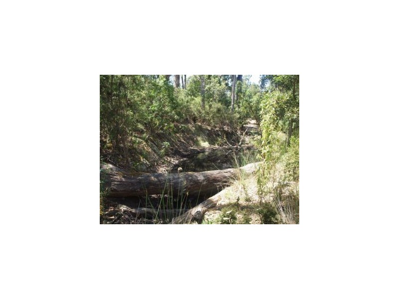 Eaglehawk Neck TAS 7179