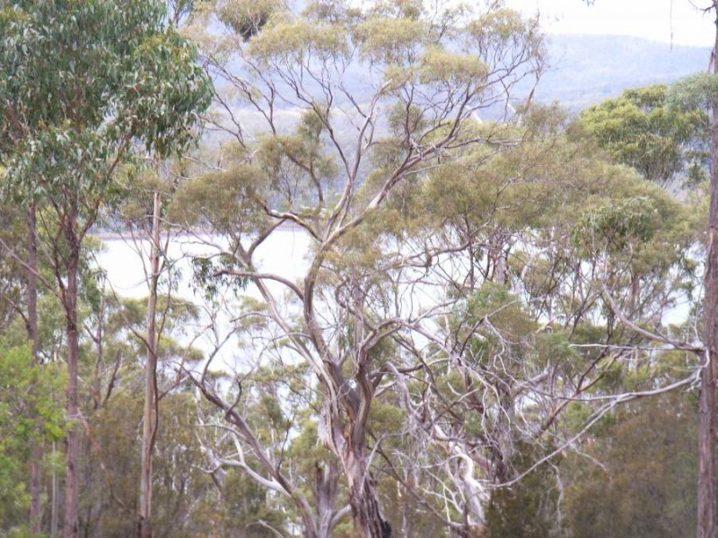 Lot 1 Arthur Highway, Murdunna TAS 7178