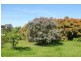 7 Clark Street, Dunalley TAS 7177