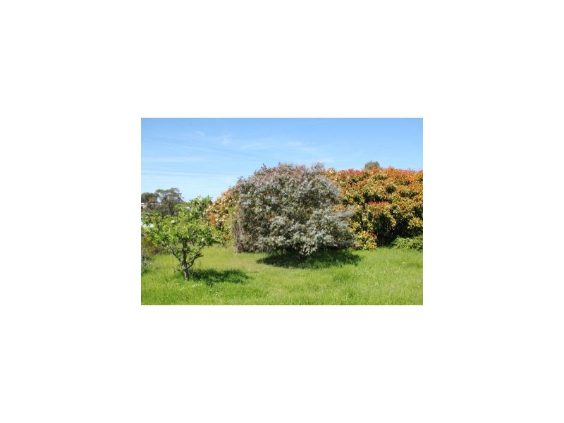 7 Clark Street, Dunalley TAS 7177