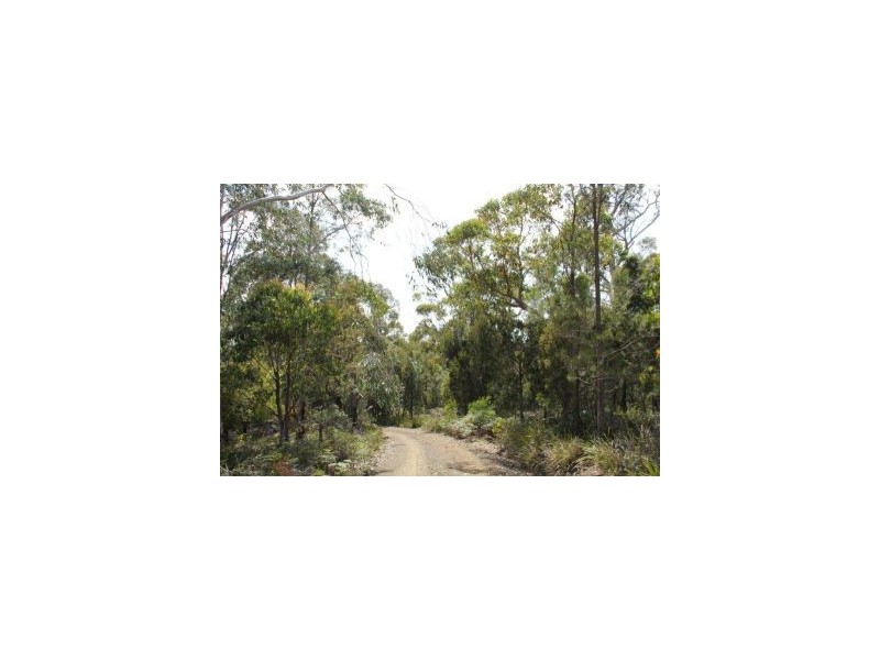 Sloping Main TAS 7186