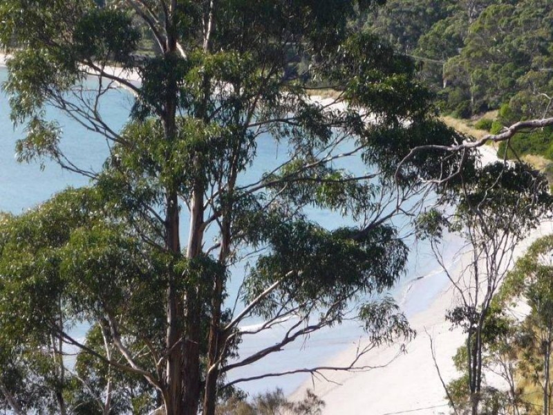 Lot 4 Kerstan Crt, White Beach TAS 7184