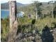 Lot 4 Kerstan Crt, White Beach TAS 7184