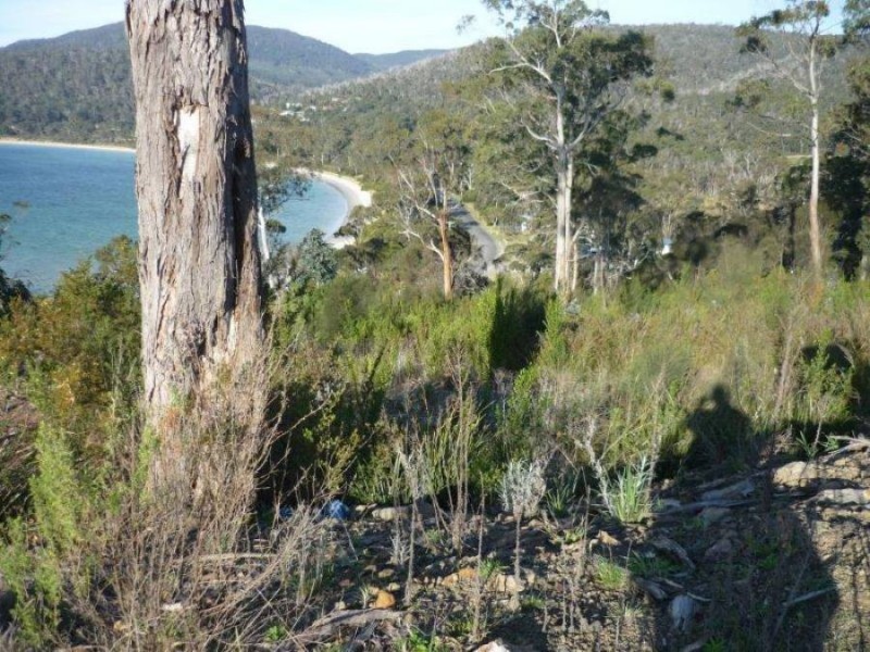 Lot 4 Kerstan Crt, White Beach TAS 7184