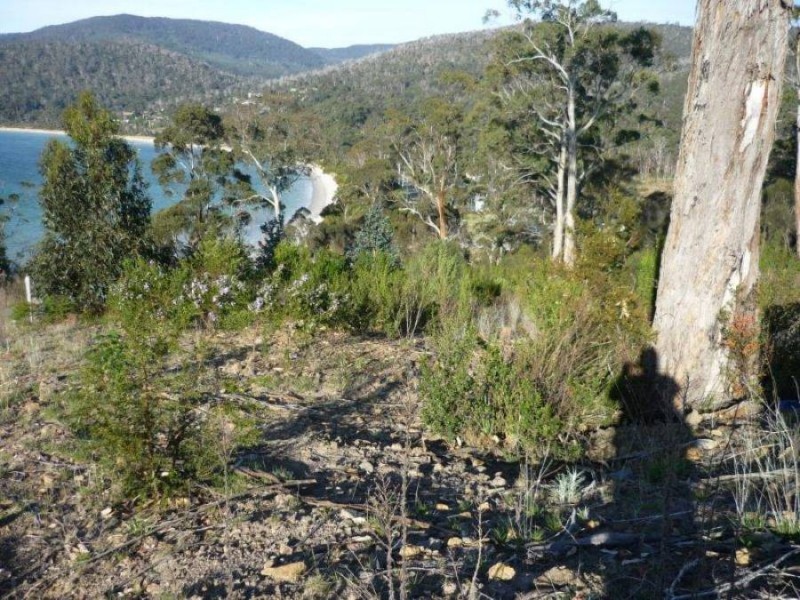 Lot 4 Kerstan Crt, White Beach TAS 7184