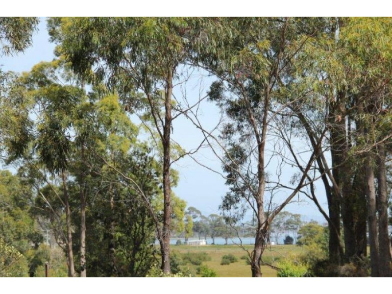 Lot 1 Gwandalan Road, Sloping Main TAS 7186