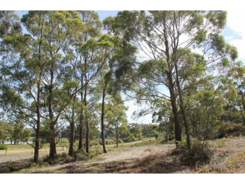 Lot 1 Gwandalan Road, Sloping Main TAS 7186