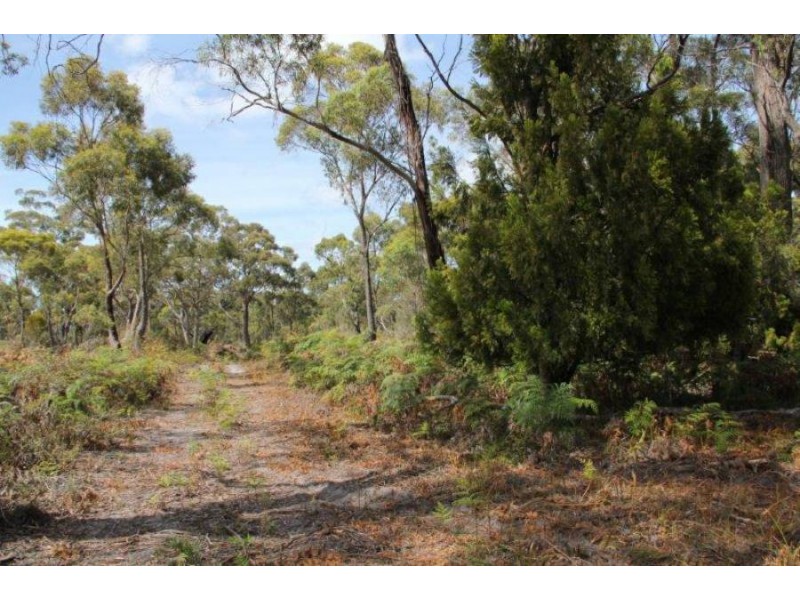 Lot 1 Gwandalan Road, Sloping Main TAS 7186