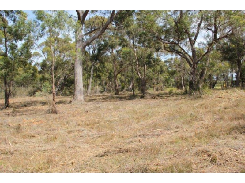 Lot 1 Gwandalan Road, Sloping Main TAS 7186