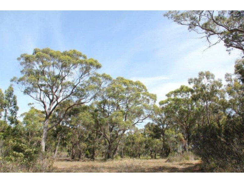 Lot 1 Gwandalan Road, Sloping Main TAS 7186