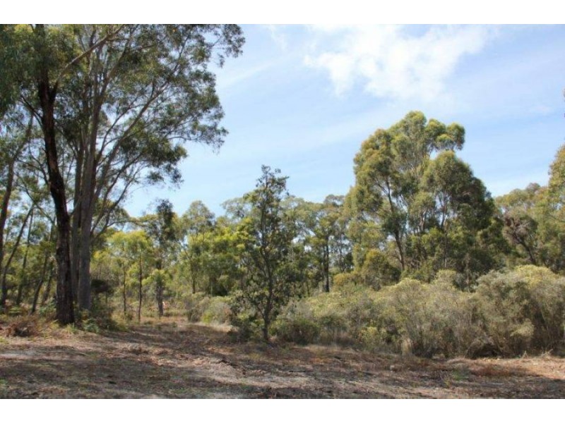 Lot 1 Gwandalan Road, Sloping Main TAS 7186