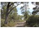 Lot 1 Gwandalan Road, Sloping Main TAS 7186