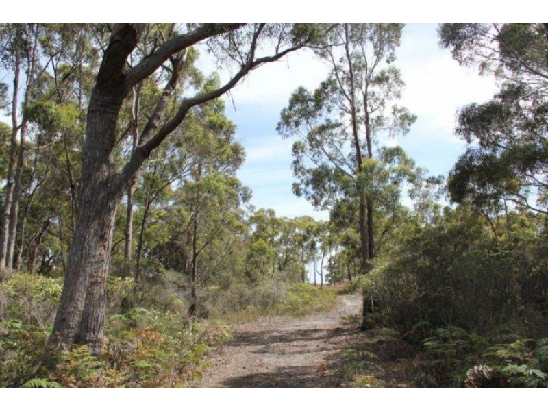 Lot 1 Gwandalan Road, Sloping Main TAS 7186