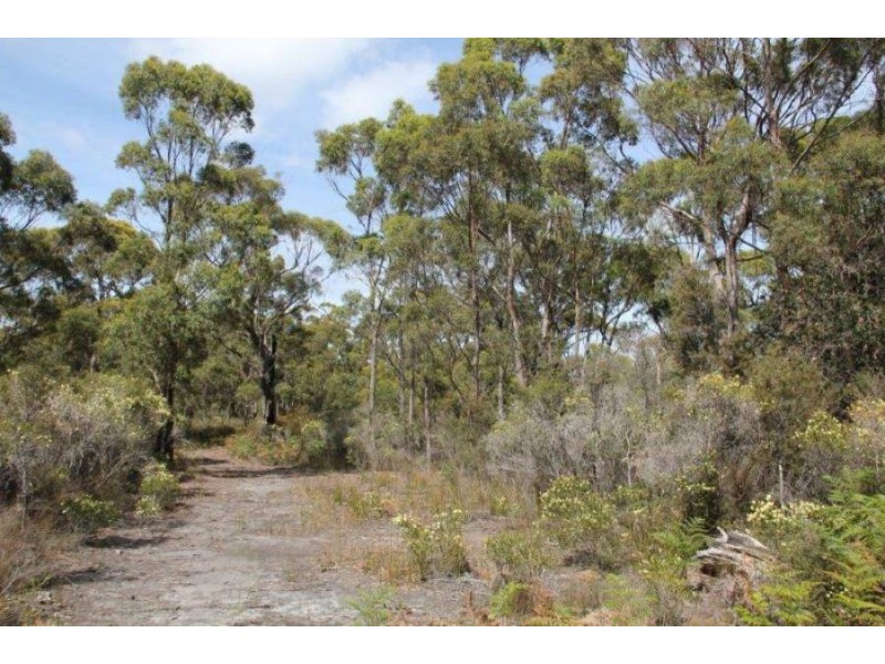 Lot 1 Gwandalan Road, Sloping Main TAS 7186