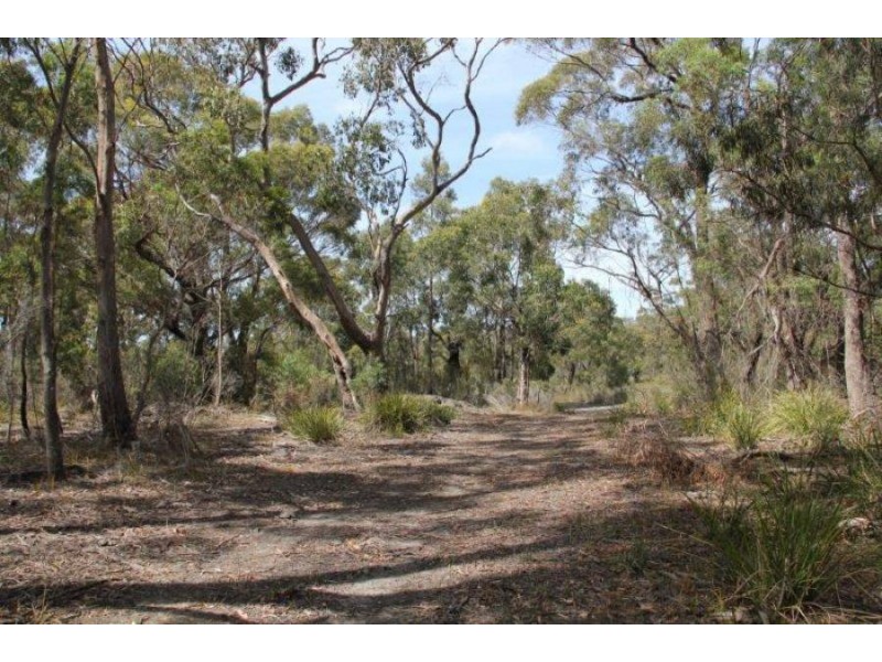 Lot 1 Gwandalan Road, Sloping Main TAS 7186