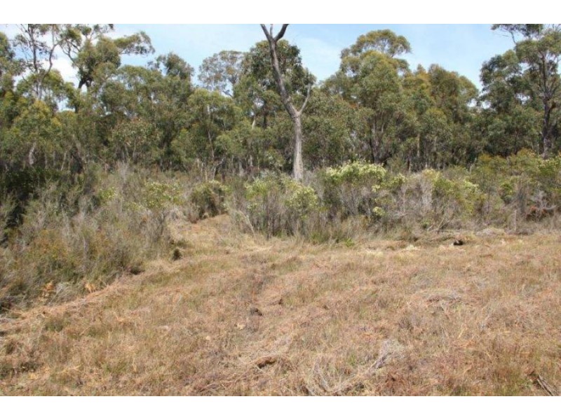 Lot 1 Gwandalan Road, Sloping Main TAS 7186
