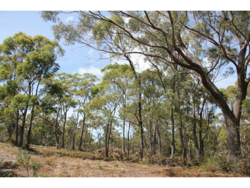 Lot 1 Gwandalan Road, Sloping Main TAS 7186