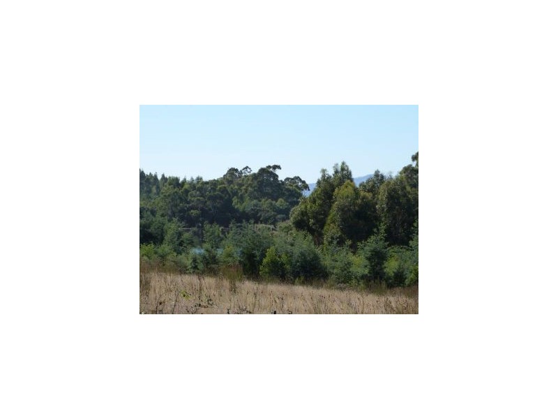 510 Dam Road, Saltwater River TAS 7186