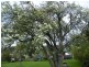 594 Rhyndaston Road, Rhyndaston TAS 7120