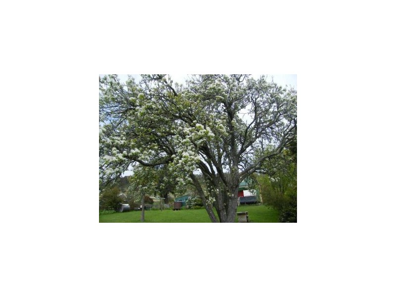 594 Rhyndaston Road, Rhyndaston TAS 7120