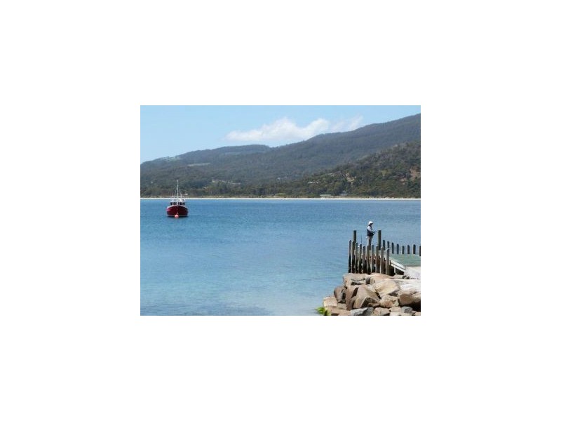 10 Noyes Road, White Beach TAS 7184