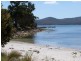 10 Noyes Road, White Beach TAS 7184