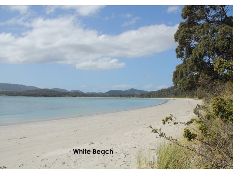 309 White Beach Rd, White Beach TAS 7184