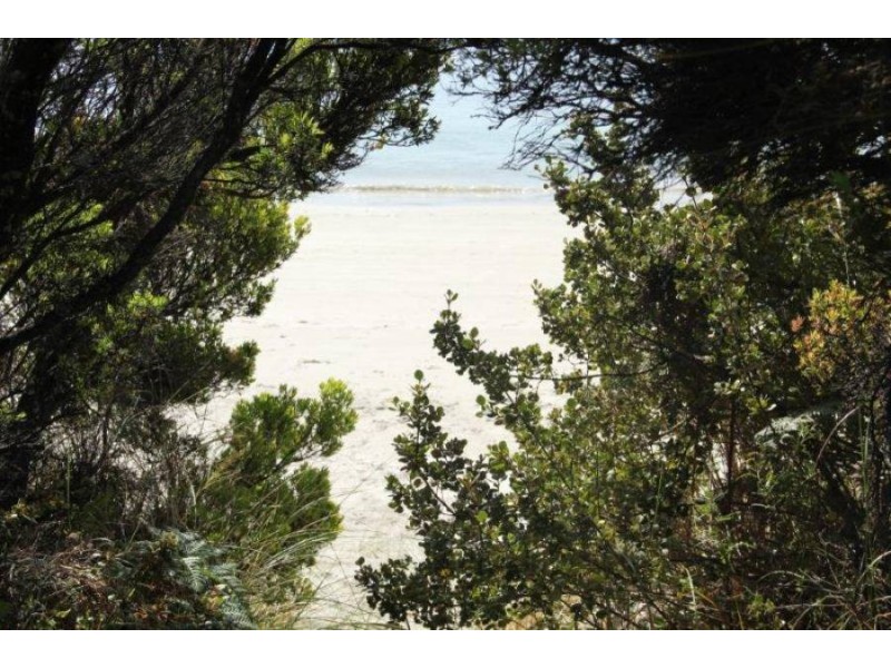 309 White Beach Rd, White Beach TAS 7184