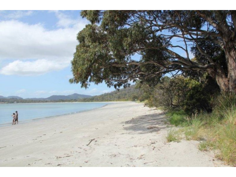 309 White Beach Rd, White Beach TAS 7184