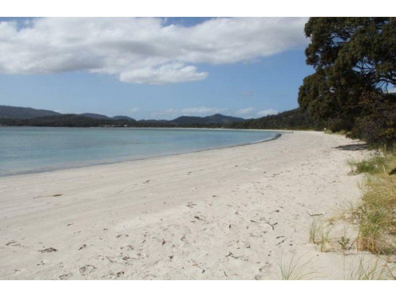 309 White Beach Rd, White Beach TAS 7184