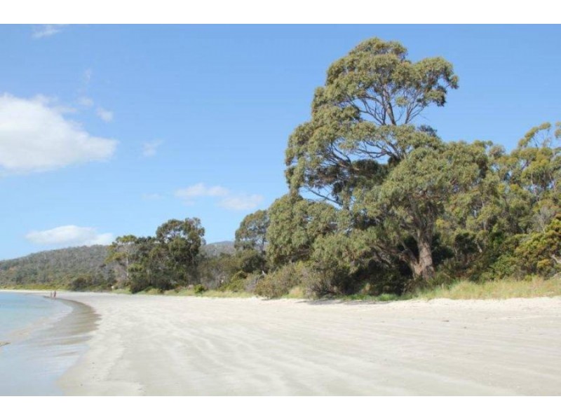 309 White Beach Rd, White Beach TAS 7184