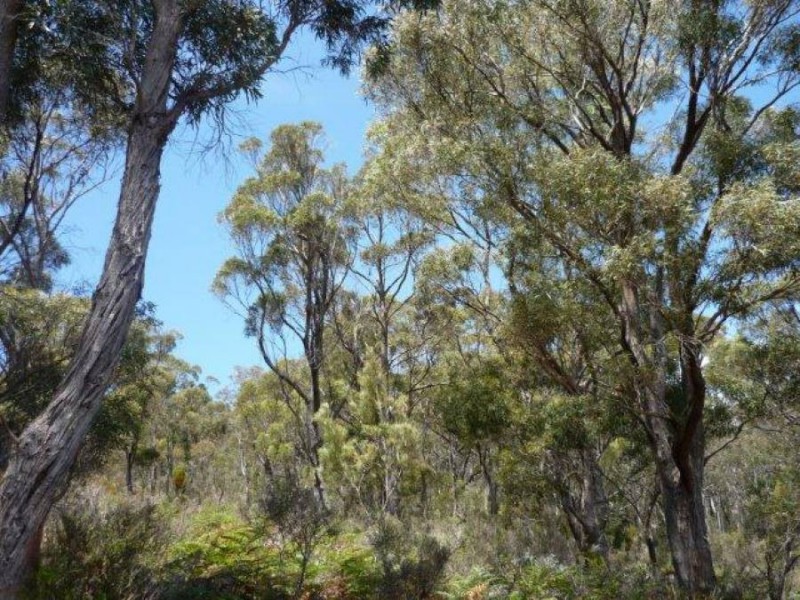 Lot 1 Arthur Highway, Taranna TAS 7180