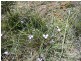 Lot 1 Arthur Highway, Taranna TAS 7180