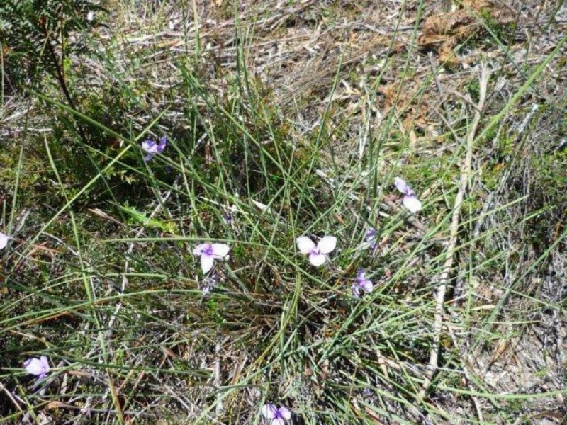 Lot 1 Arthur Highway, Taranna TAS 7180