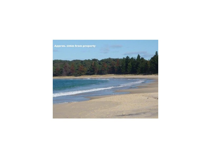 411 Safety Cove Road, Port Arthur TAS 7182