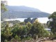 Lot 1 Albert Street, Eaglehawk Neck TAS 7179