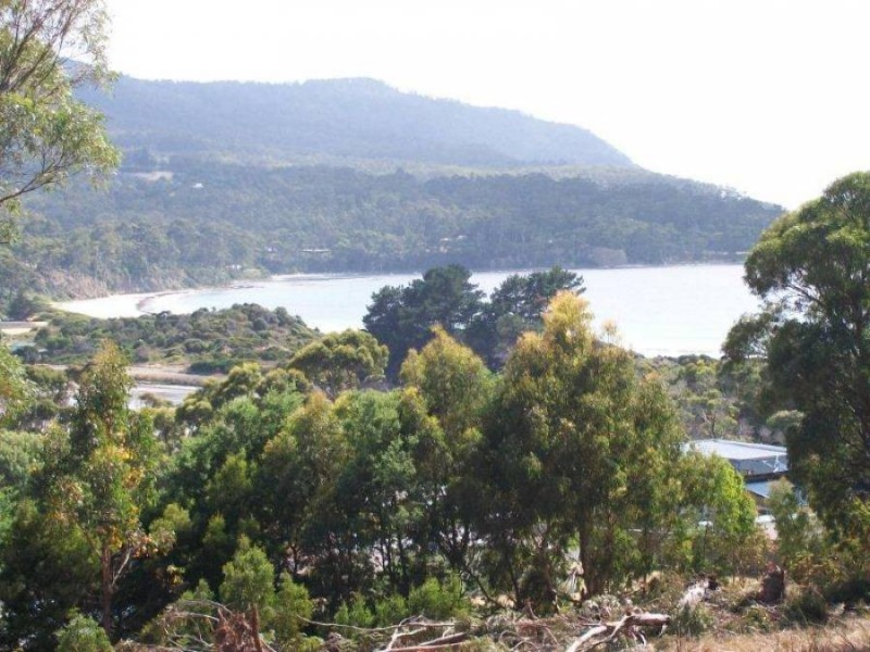 Lot 1 Albert Street, Eaglehawk Neck TAS 7179