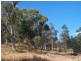 Lot 1 Albert Street, Eaglehawk Neck TAS 7179