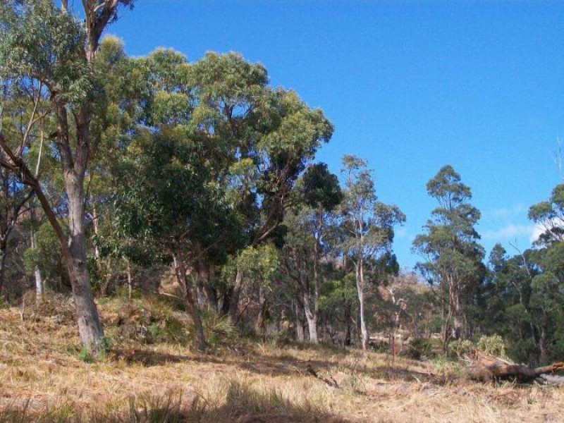 Lot 1 Albert Street, Eaglehawk Neck TAS 7179