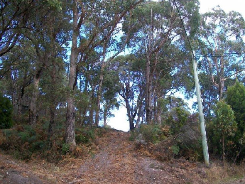 Lot 1 Albert Street, Eaglehawk Neck TAS 7179