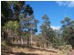 Lot 1 Albert Street, Eaglehawk Neck TAS 7179