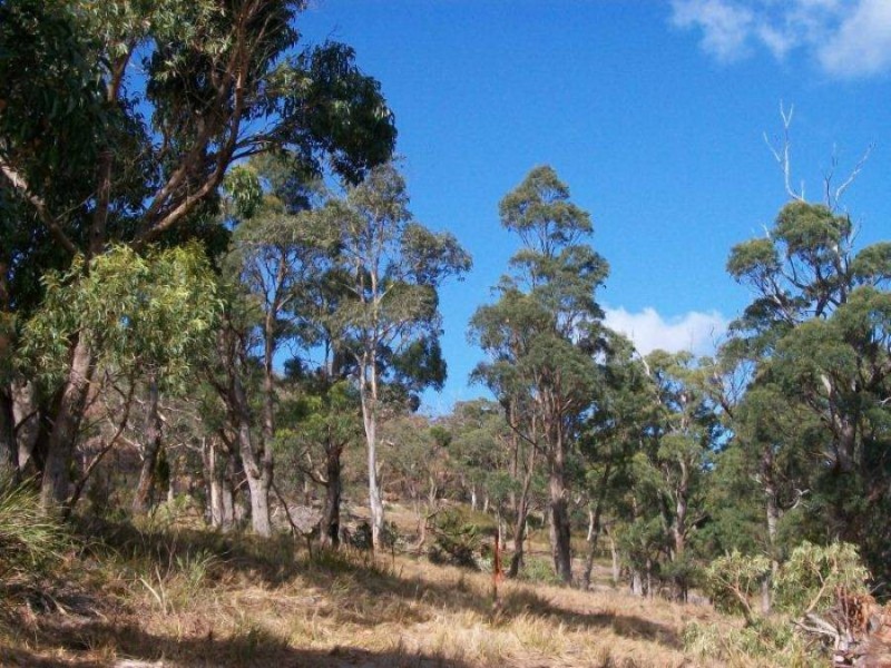 Lot 1 Albert Street, Eaglehawk Neck TAS 7179
