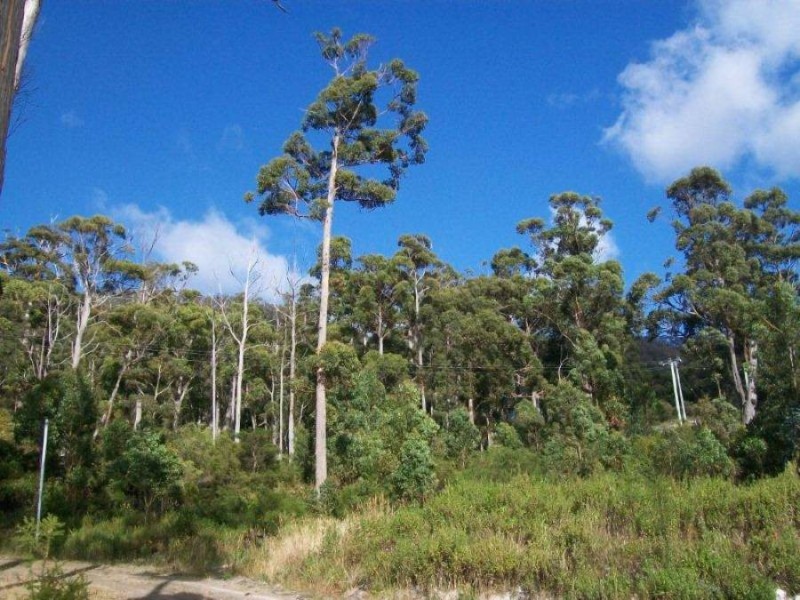 5 Richardsons Drive, Eaglehawk Neck TAS 7179