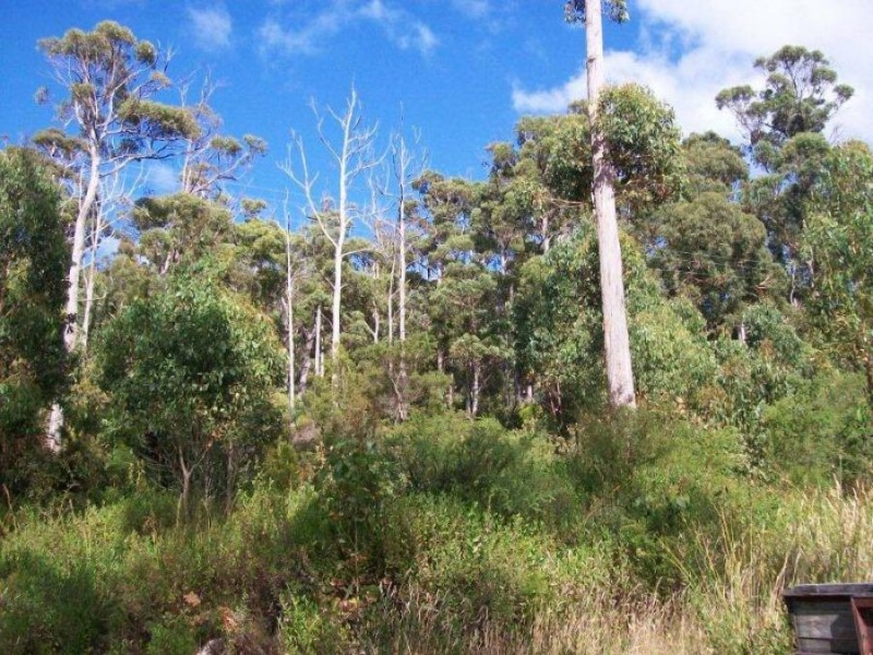 5 Richardsons Drive, Eaglehawk Neck TAS 7179