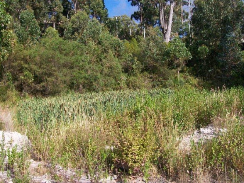 5 Richardsons Drive, Eaglehawk Neck TAS 7179